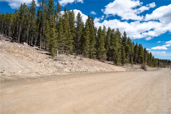3149 Nugget RD, Fairplay, CO 80440