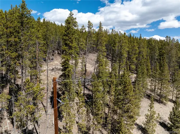 3149 Nugget RD, Fairplay, CO 80440
