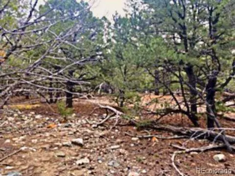 Mill Run RD, Mosca, CO 81146