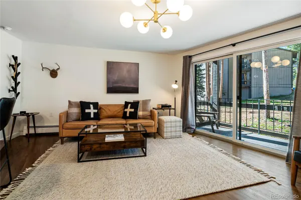 1173 Ski Hill RD #123, Breckenridge, CO 80424