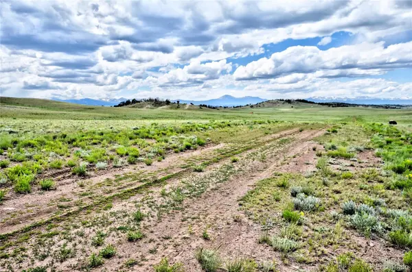 1238 Chicha RD, Hartsel, CO 80449