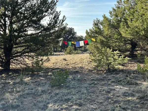 1933 Lone Pine WAY, Crestone, CO 81131