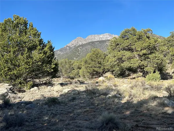1933 Lone Pine WAY, Crestone, CO 81131