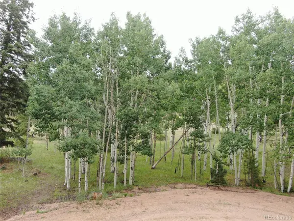 76 Crocus CIR, Florissant, CO 80816