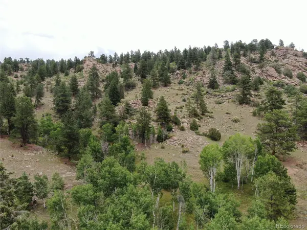 76 Crocus CIR, Florissant, CO 80816