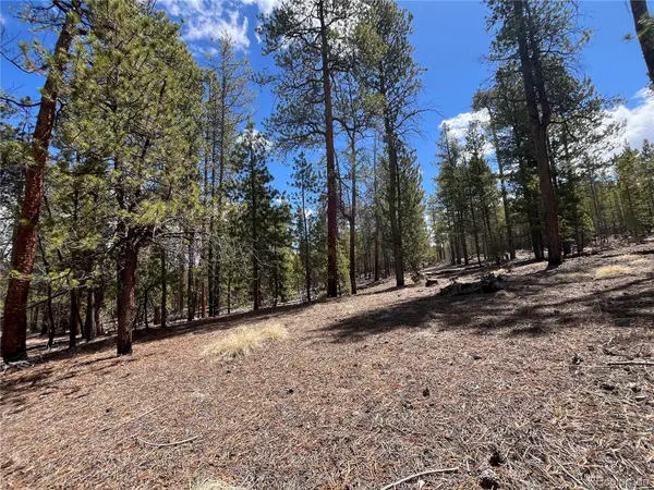 1013 Sequoia DR, Twin Lakes, CO 81251