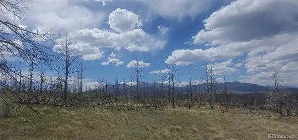 Lot 321 Hagin LN, Fort Garland, CO 81133