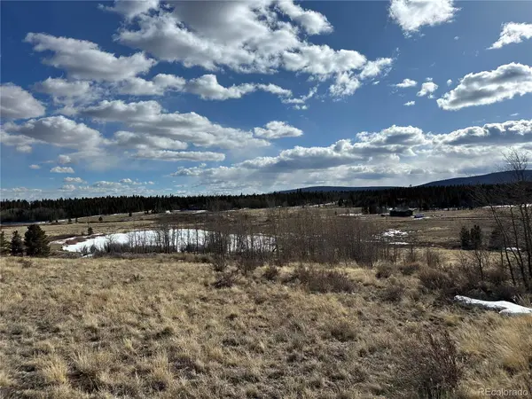 Foxtail CT, Fairplay, CO 80440