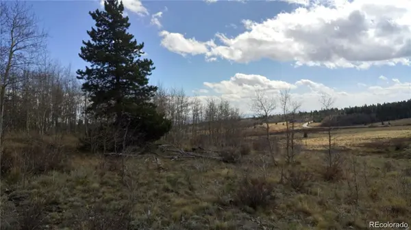 Foxtail CT, Fairplay, CO 80440