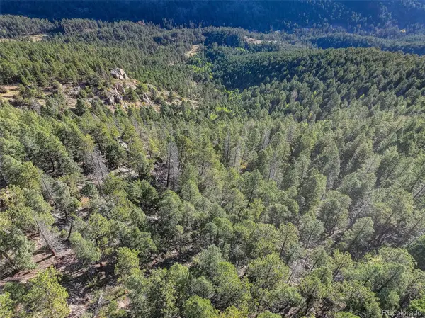 23047 Big Game TRL, Conifer, CO 80433