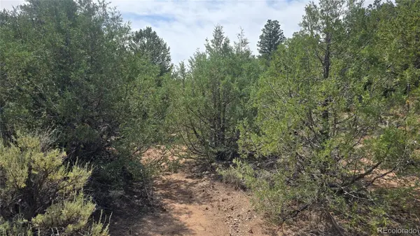 Lot 7892 Tiernan RD, Fort Garland, CO 81133