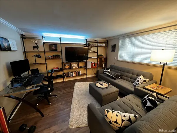 1260 N Humboldt ST #3, Denver, CO 80218
