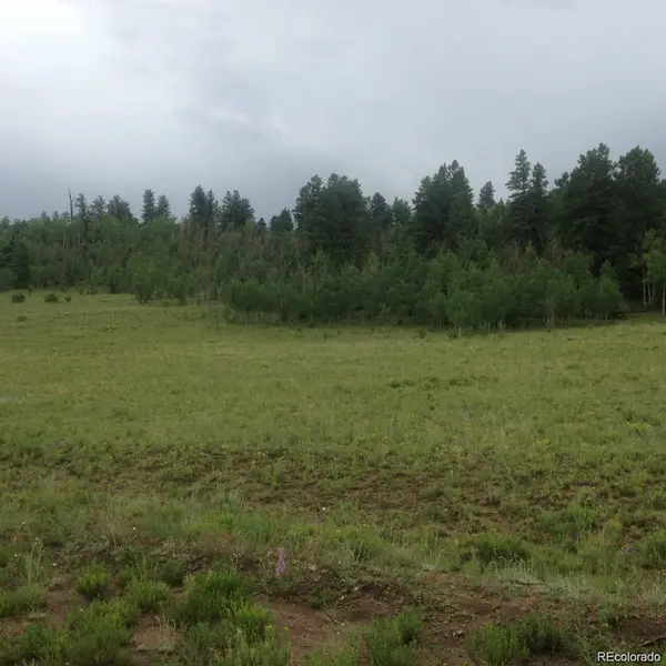 1681 Athapascan RD, Hartsel, CO 80449