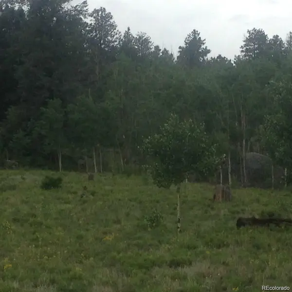 1681 Athapascan RD, Hartsel, CO 80449