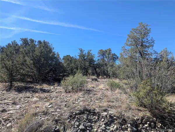 200 Mill Run RD, Mosca, CO 81146