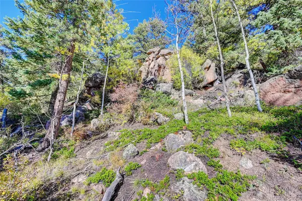11723 Braun WAY, Conifer, CO 80433