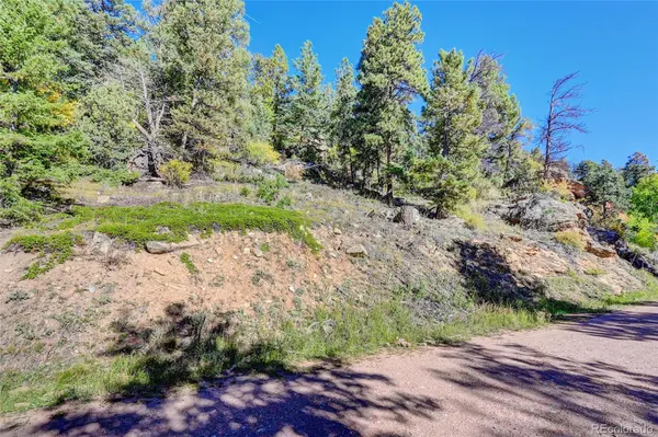 11723 Braun WAY, Conifer, CO 80433