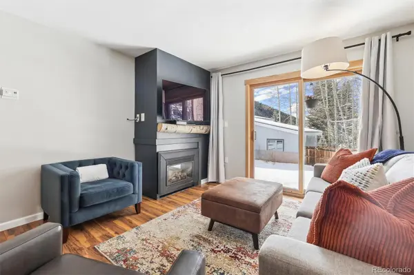 22974 US Highway 6 #102, Keystone, CO 80435