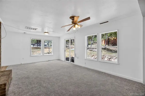 126 Sullivan ST, Bailey, CO 80421