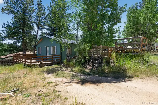 126 Sullivan ST, Bailey, CO 80421