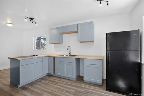 126 Sullivan ST, Bailey, CO 80421