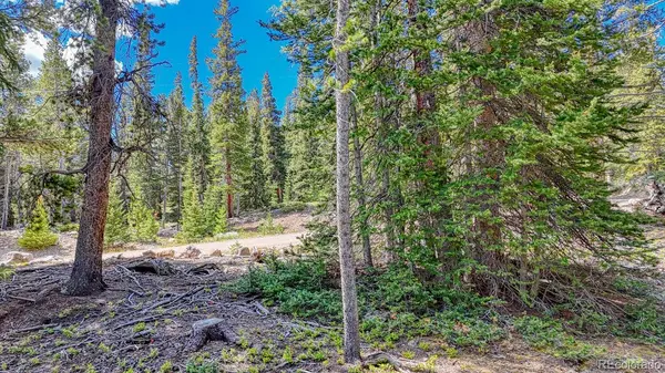 126 Gold Trail Cutoff, Fairplay, CO 80440