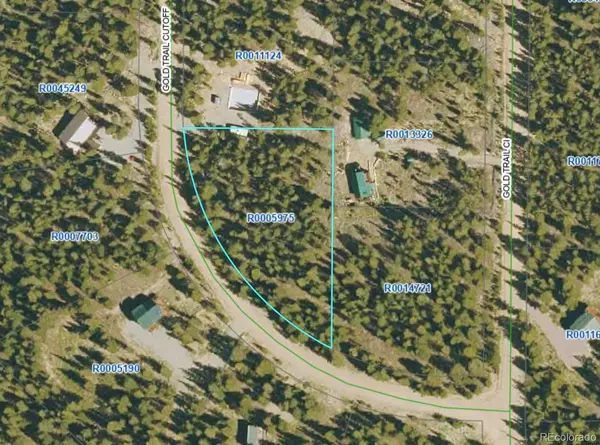 126 Gold Trail Cutoff, Fairplay, CO 80440