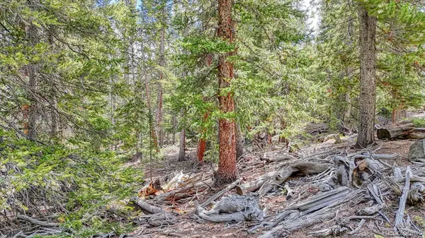 126 Gold Trail Cutoff, Fairplay, CO 80440