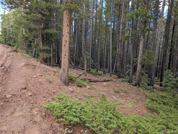 3022 Bolwell LN, Fort Garland, CO 81133