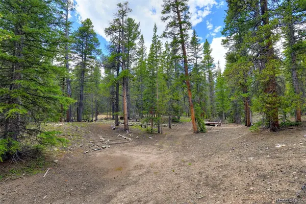 2221 Kootchie Kootchie RD, Fairplay, CO 80440