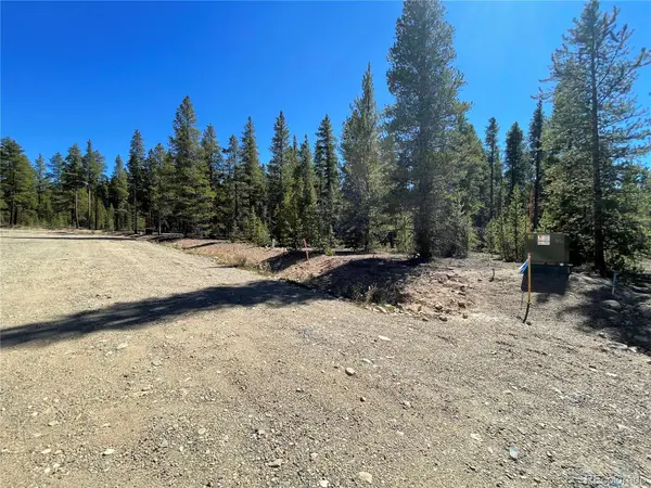 251 Virginia AVE, Leadville, CO 80461