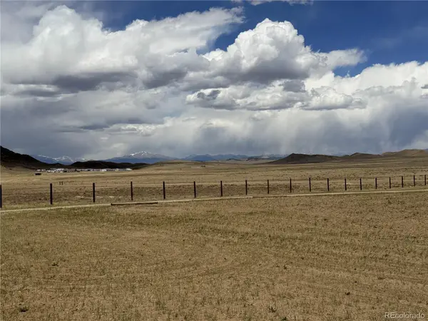 620 Stirrup RD, Hartsel, CO 80449