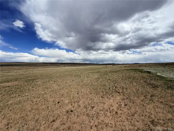 620 Stirrup RD, Hartsel, CO 80449