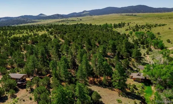 525 Brush Hollow RD, Westcliffe, CO 81252
