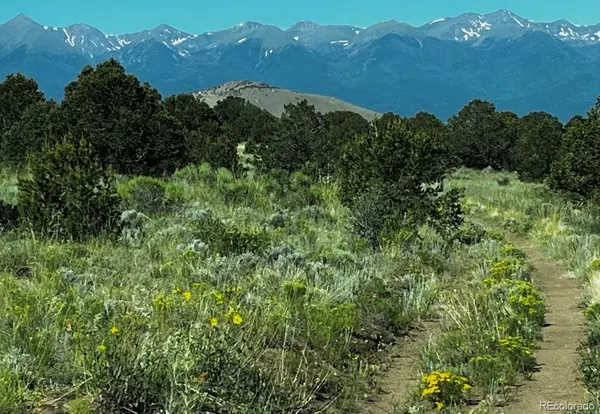 525 Brush Hollow RD, Westcliffe, CO 81252