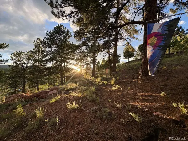 226 Hall RD, Bailey, CO 80421