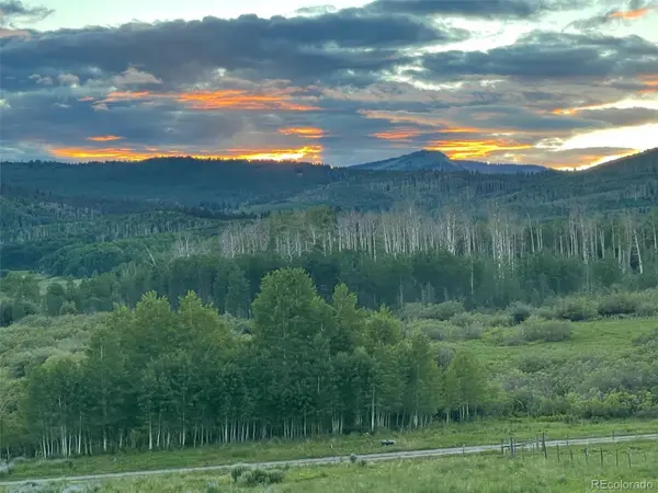 41014 Beaver Trail LN, Paonia, CO 81428