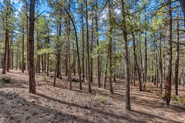 249 Territory DR, Pine, CO 80470