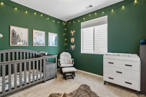 284 Vista Cliff CIR, Castle Rock, CO 80104