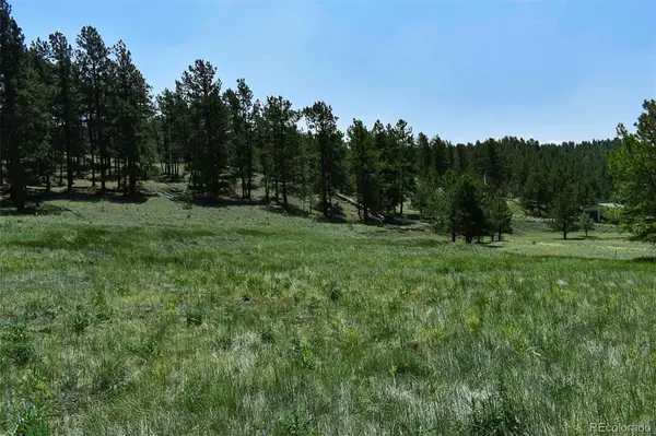 000 6th ST, Guffey, CO 80820
