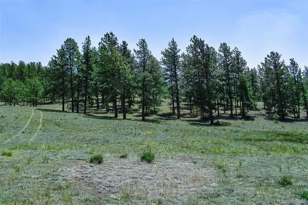 000 6th ST, Guffey, CO 80820