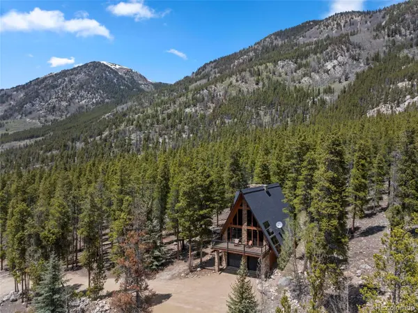 12715 E State Highway 82, Twin Lakes, CO 81251
