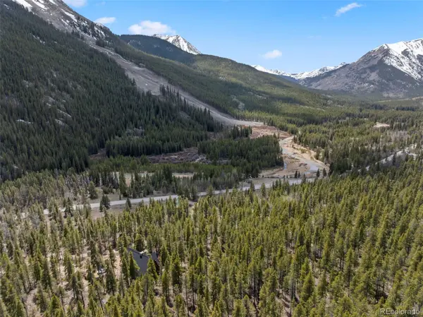 12715 E State Highway 82, Twin Lakes, CO 81251
