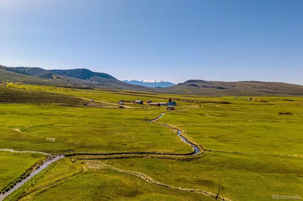 623 County Road 813, Almont, CO 81210