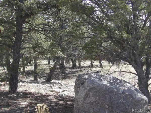 255 Baca Grant WAY, Crestone, CO 81131