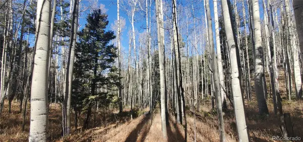 Lot 6060 Forbes RD, San Luis, CO 81152