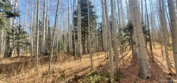Lot 6060 Forbes RD, San Luis, CO 81152