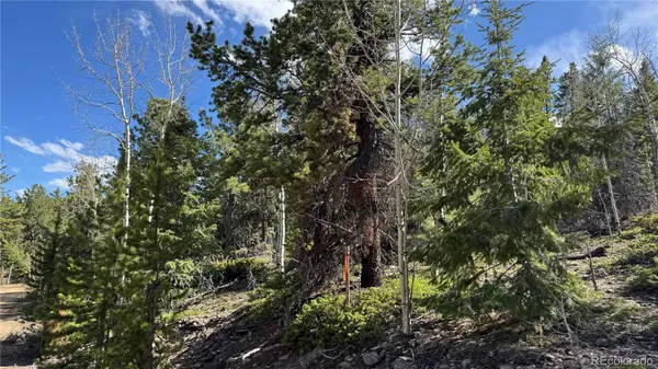 005 Church Placer RD, Central City, CO 80427