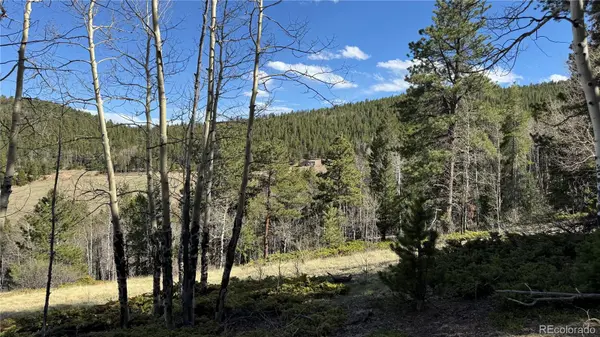005 Church Placer RD, Central City, CO 80427