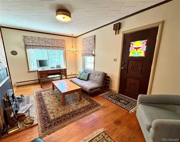 1705 Mount Lincoln DR, Leadville, CO 80461